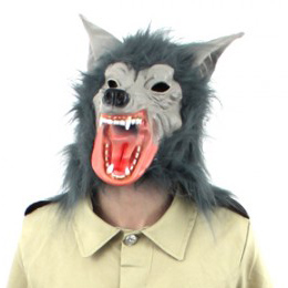 Halloween costume at ilovefancydress.com